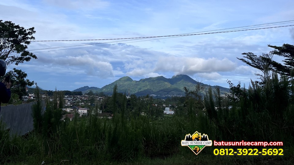 Sunrise di Goa Pinus